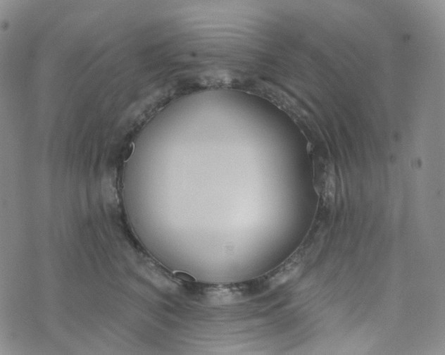 X0000073930616200609011836