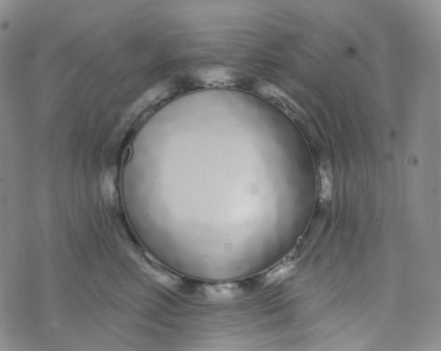 X0000073930618200609011836