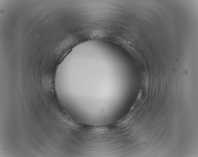 X0000073930619200609011836