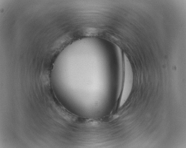 X0000073930620200609011836