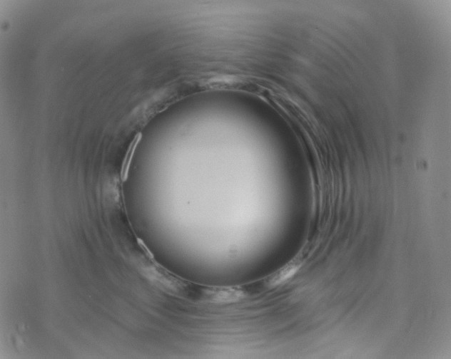 X0000073930621200609011836