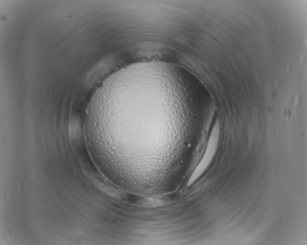 X0000073930623200609011836