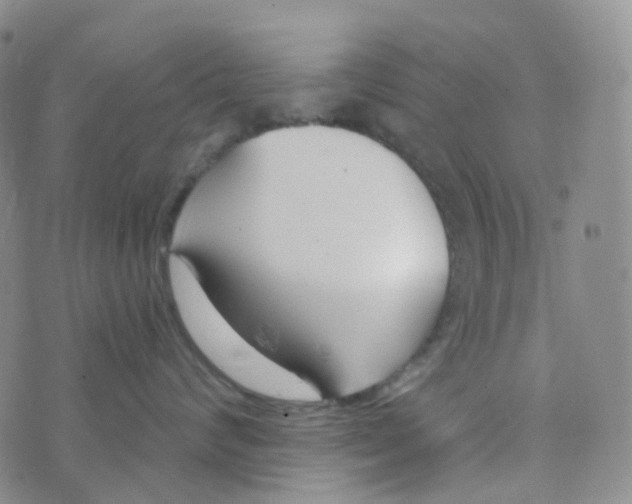 X0000073930624200609011836