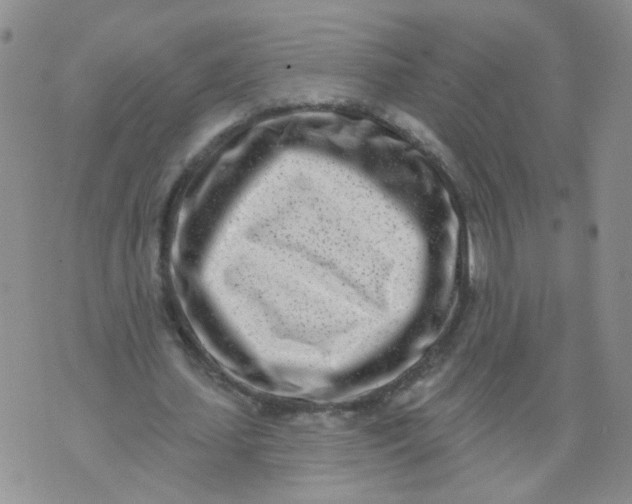 X0000073930627200609011835