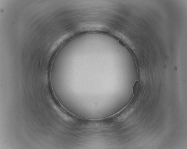 X0000073930629200609011835