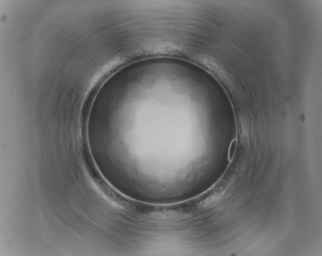 X0000073930630200609011835