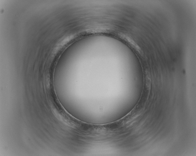 X0000073930631200609011835