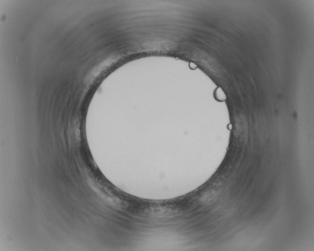 X0000073930632200609011835