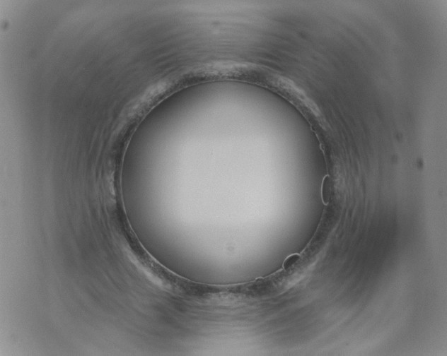 X0000073930633200609011835