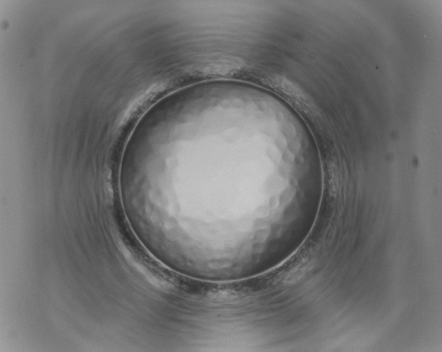 X0000073930634200609011835