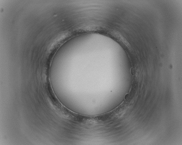 X0000073930635200609011835