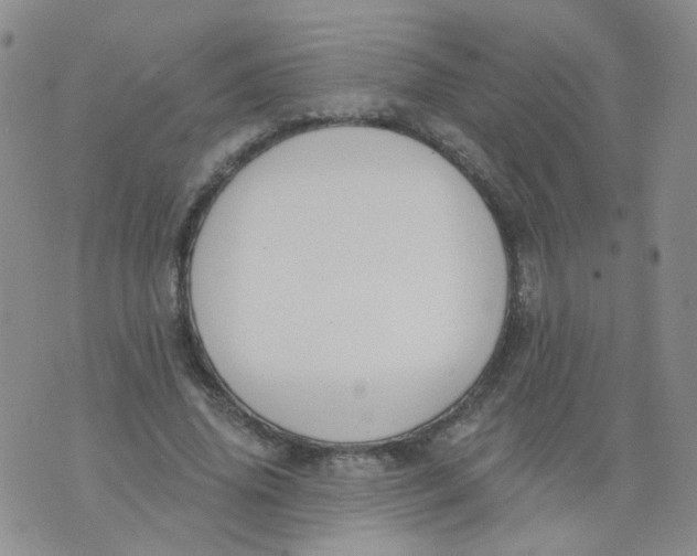 X0000073930636200609011835