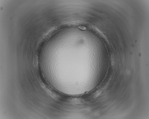 X0000073930637200609011835