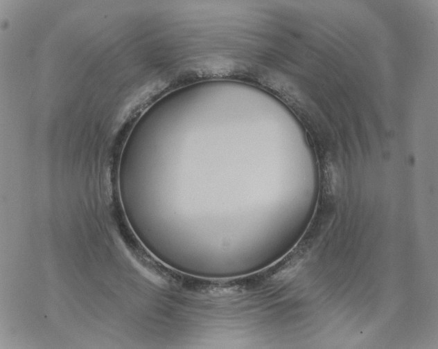 X0000073930638200609011835