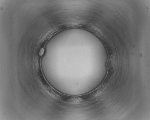 X0000073930642200609011835