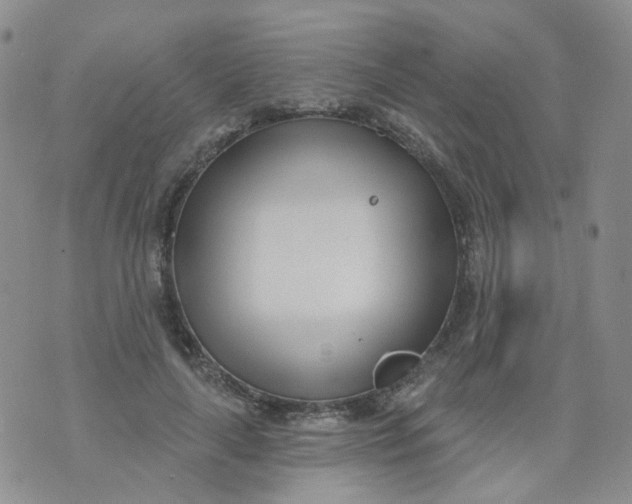 X0000073930643200609011835