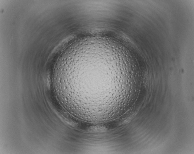 X0000073930644200609011835