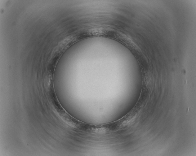 X0000073930645200609011835