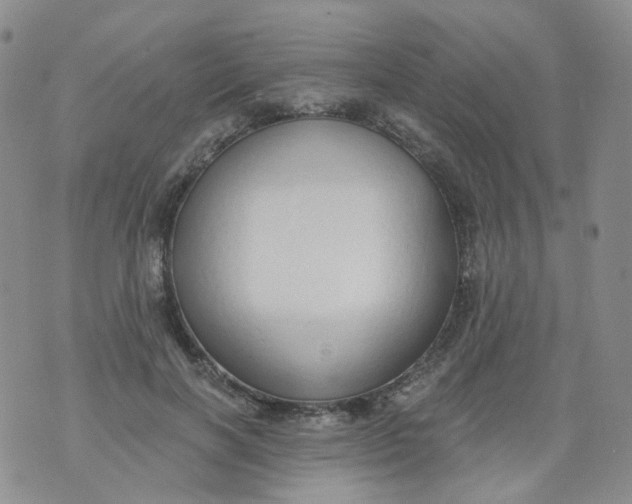 X0000073930646200609011835