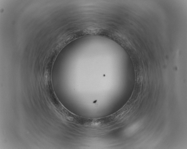 X0000073930647200609011835