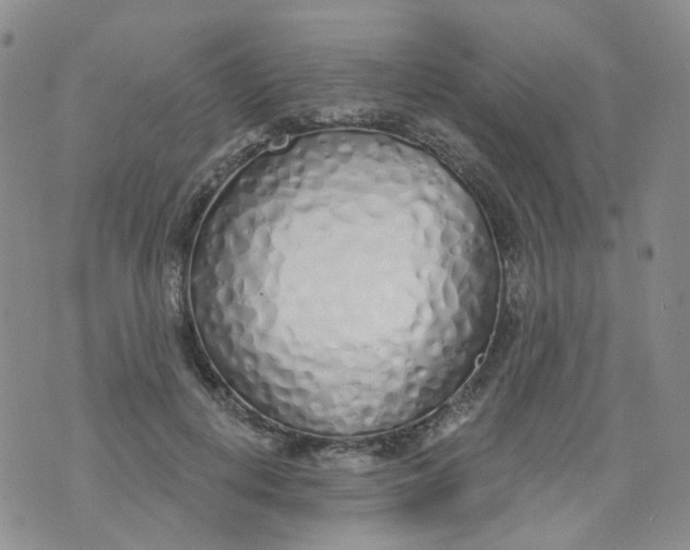 X0000073930648200609011835