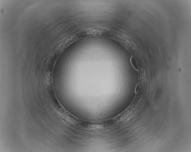 X0000073930649200609011835