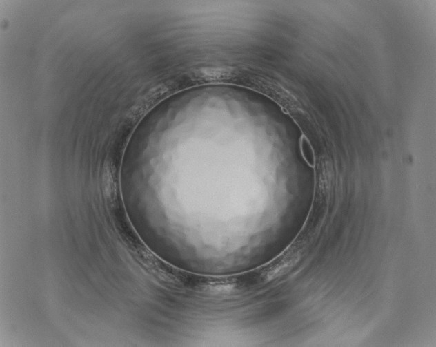 X0000073930651200609011835