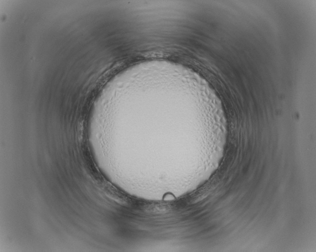 X0000073930652200609011835