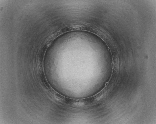 X0000073930653200609011835