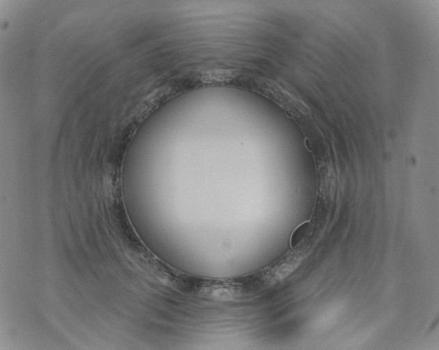 X0000073930655200609011835