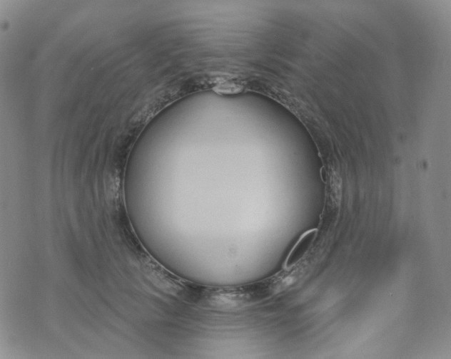 X0000073930657200609011835