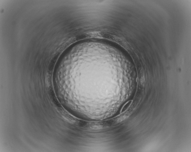 X0000073930658200609011835