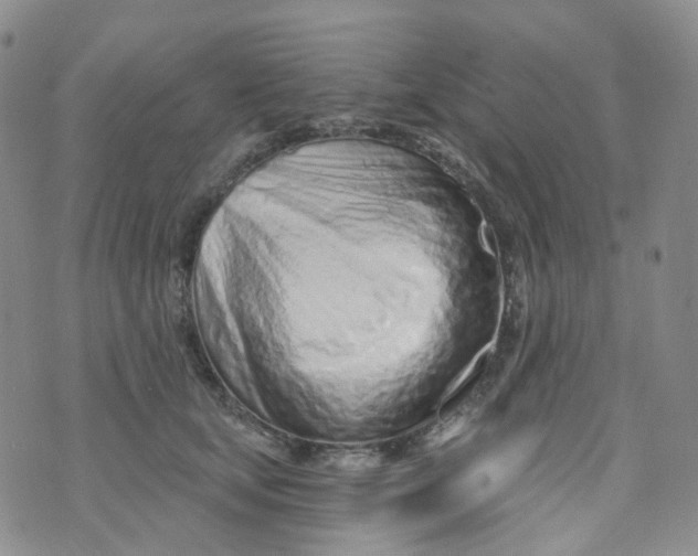 X0000073930659200609011835