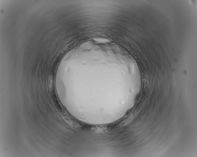 X0000073930660200609011836