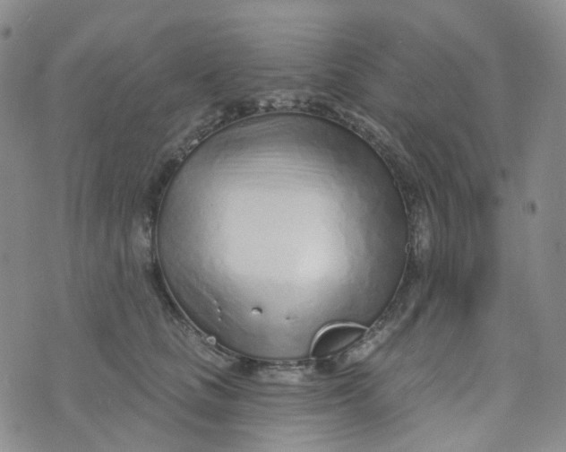 X0000073930661200609011836