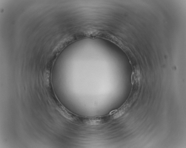 X0000073930664200609011836