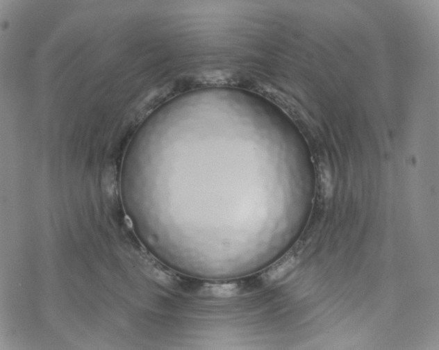 X0000073930665200609011836