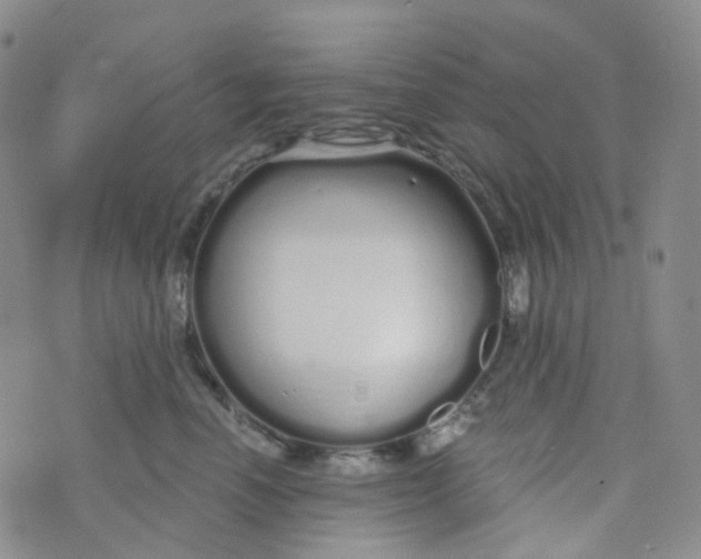 X0000073930666200609011836