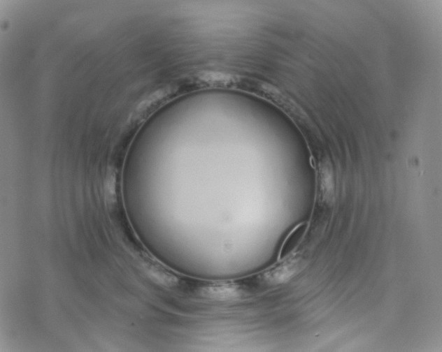 X0000073930668200609011836