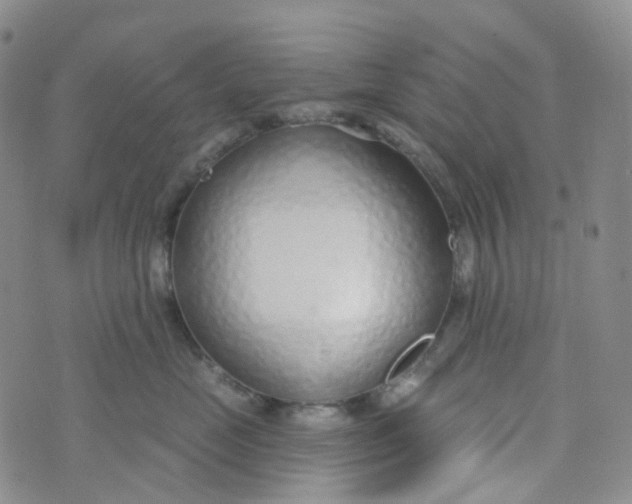 X0000073930669200609011836