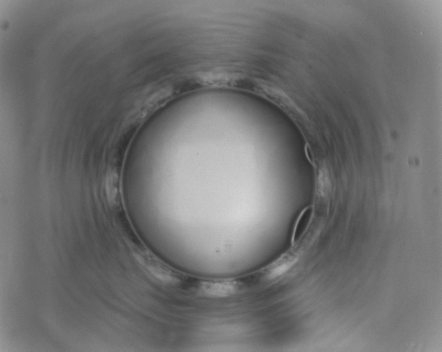 X0000073930671200609011836