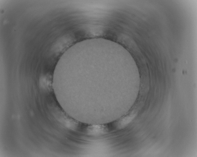 X0000073930672200609011836