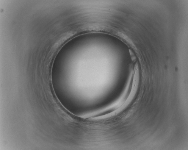 X0000073930673200609011835