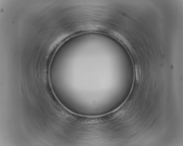 X0000073930675200609011835