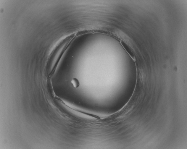 X0000073930676200609011835