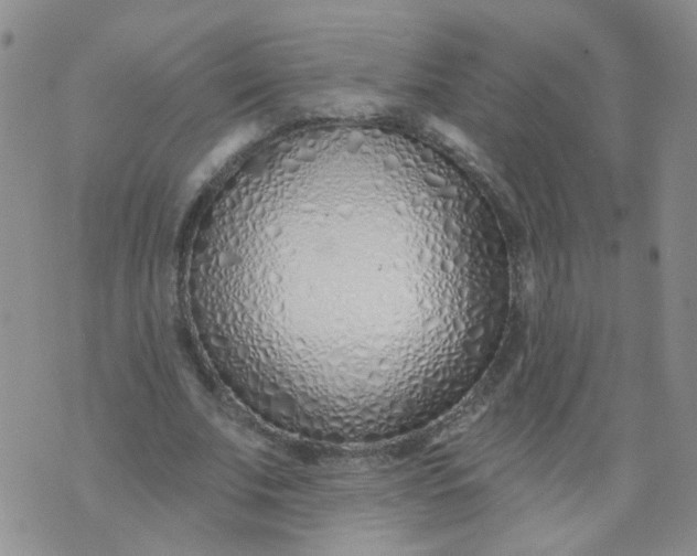 X0000073930679200609011835