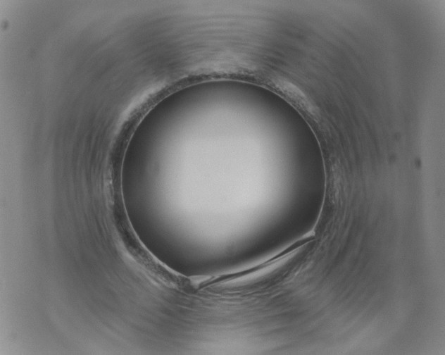 X0000073930680200609011835