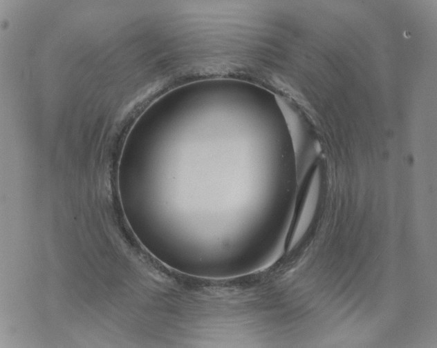 X0000073930681200609011835