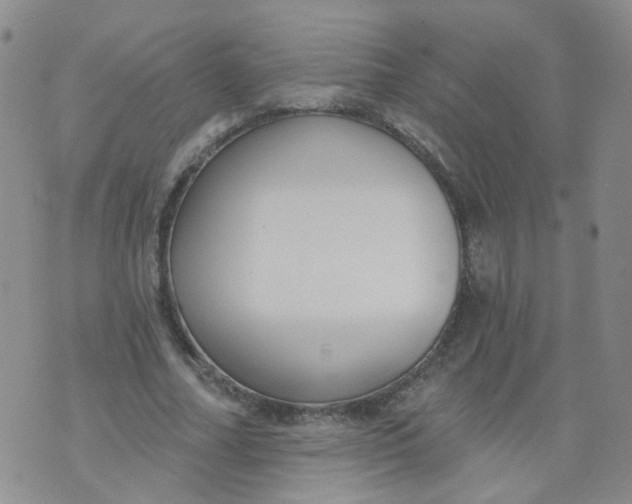 X0000073930682200609011835