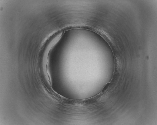 X0000073930684200609011835